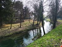 Treviso