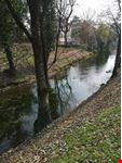 Treviso
