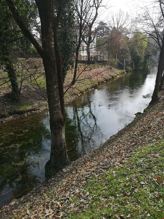 Treviso Pista ciclabile dell'Alzaia del Sile stock.adobe.com 