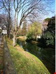 Treviso