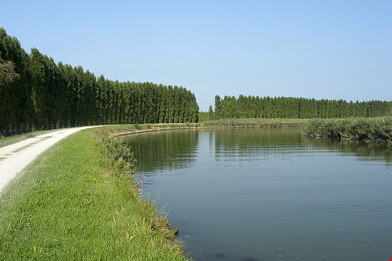 Treviso Pista ciclabile dell'Alzaia del Sile stock.adobe.com 