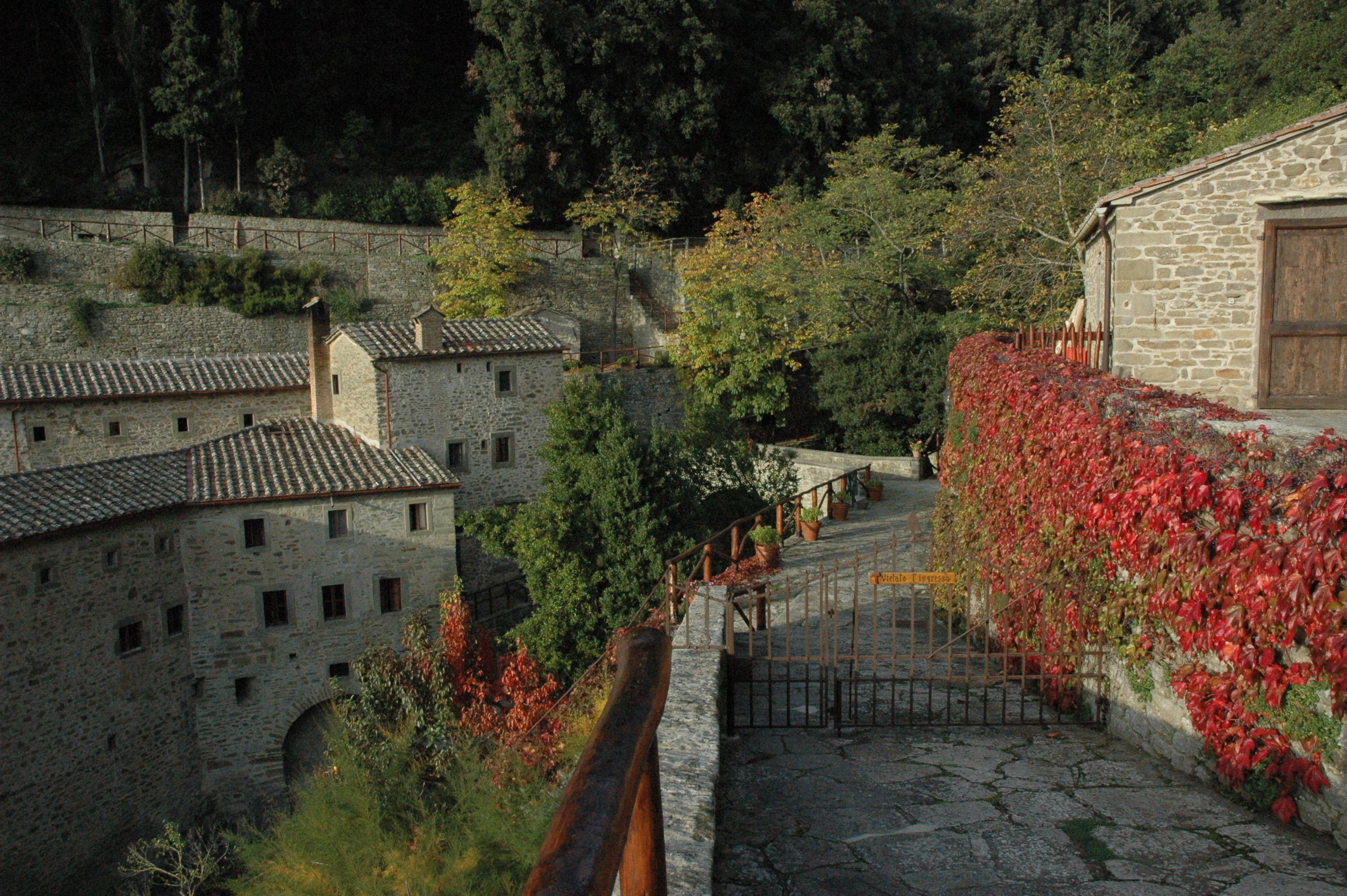 Cortona