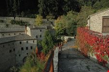 Cortona