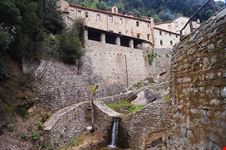 Cortona