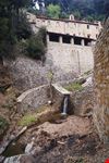 Cortona