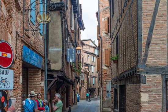 Albi  Albi  Anibal Trejo / Shutterstock.com 