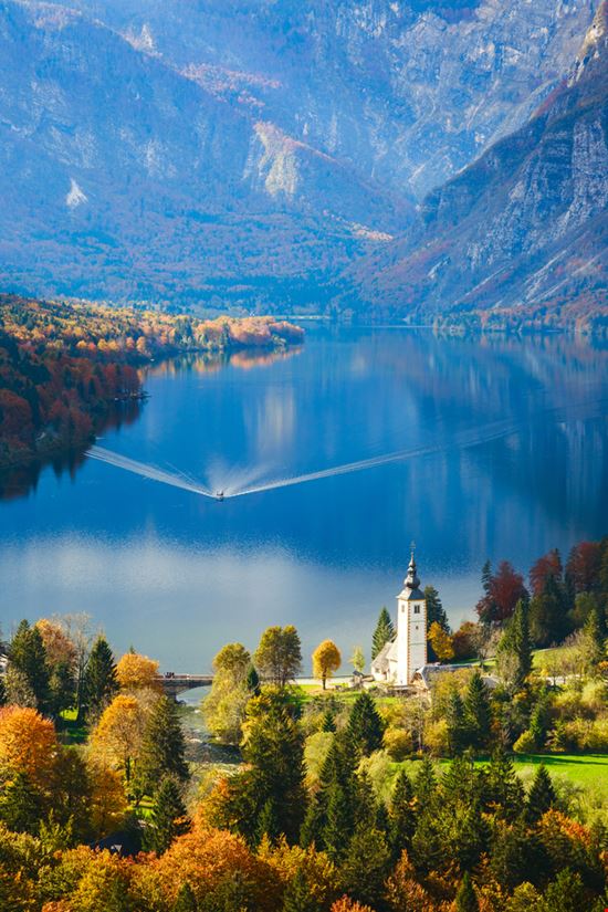 Lago di Bohinj Lago di Bohinj Shutterstock.com 