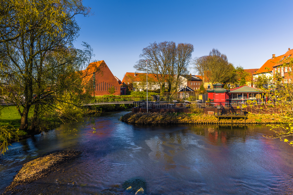 Ribe