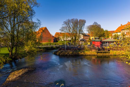 Ribe Ribe RPBaiao - Shutterstock.com 