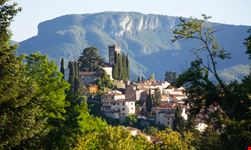 424010109200420_Barga_1131768266