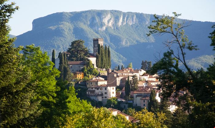 Centro Storico - 424010109200420_Barga_1131768266