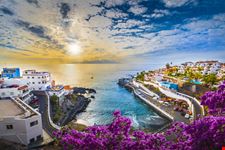 Tenerife Images Stock Photos Vectors Shutterstock