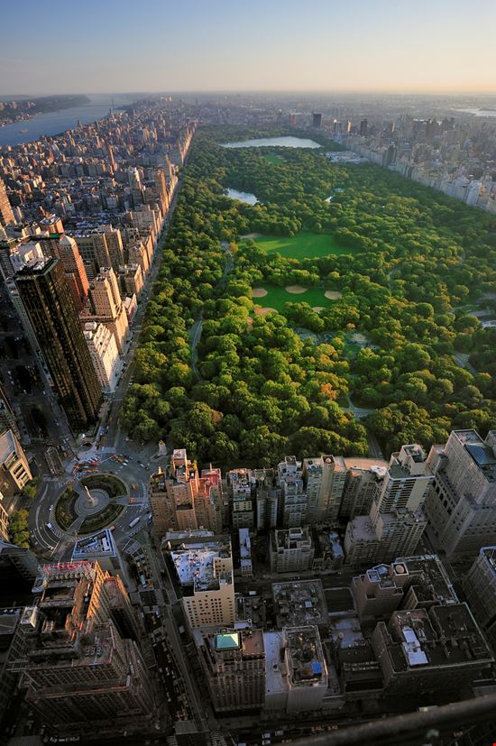 Central Park Central Park dolphinphoto - Istockphoto.com 
