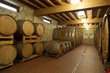 Cantine