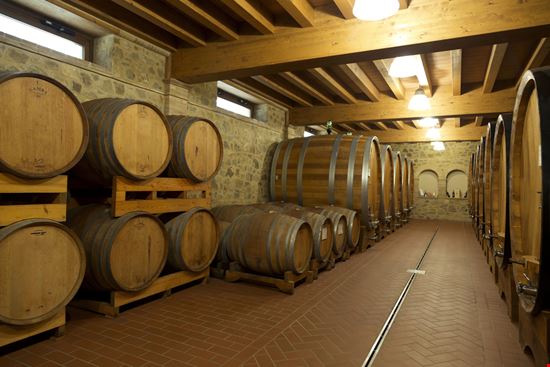 Cantine Cantine volkova natalia / Shutterstock.com 