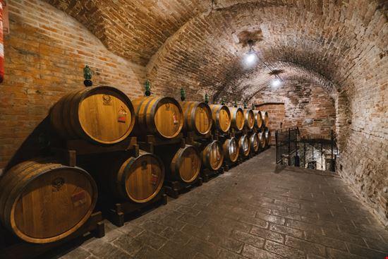 Cantine Cantine pointbreak / Shutterstock.com 