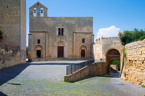 Tarquinia Tarquinia Manakin - Istockphoto.com 
