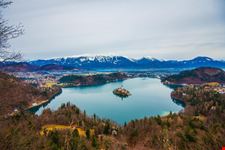 Bled