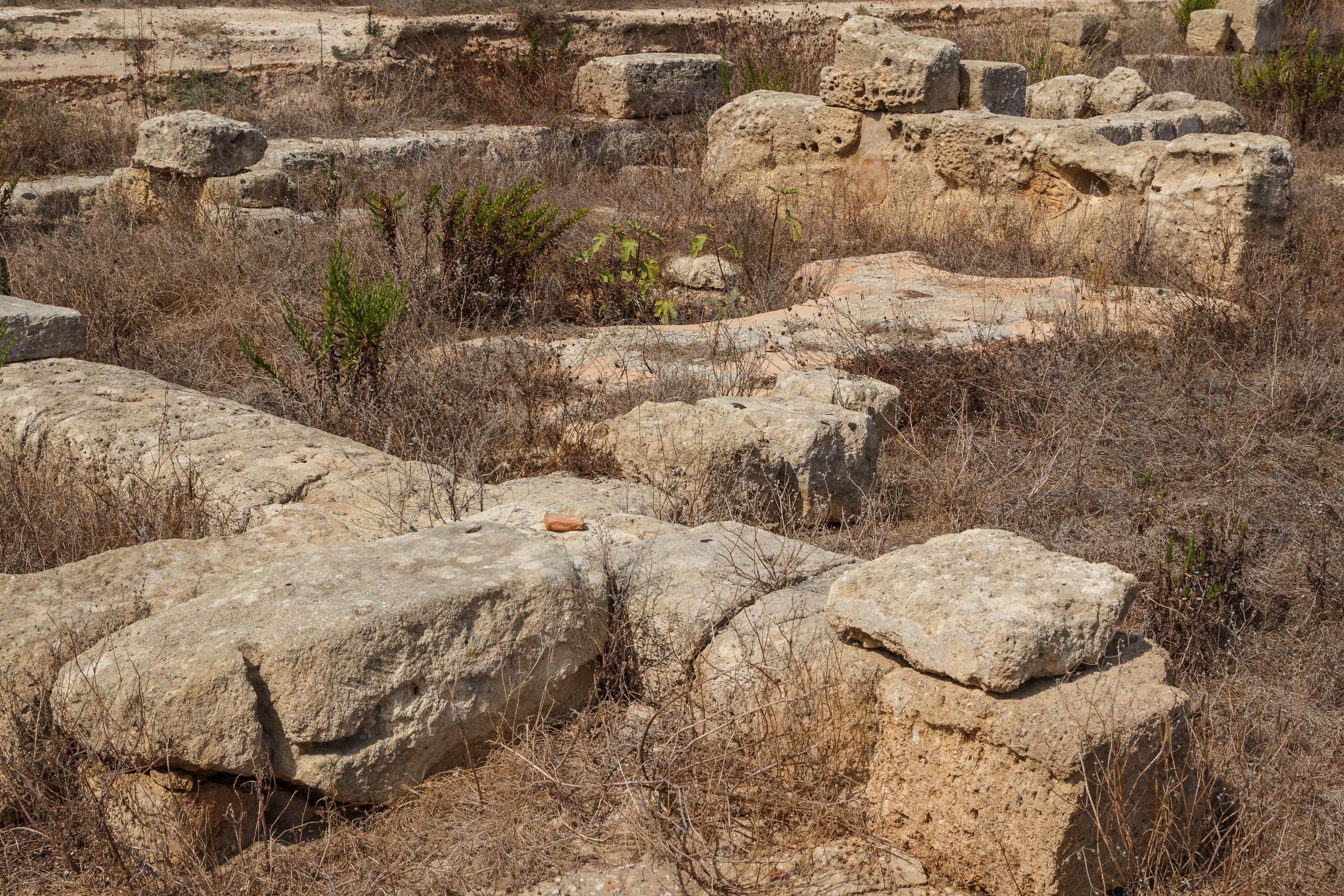 Parco archeologico di Lilibeo-Marsala