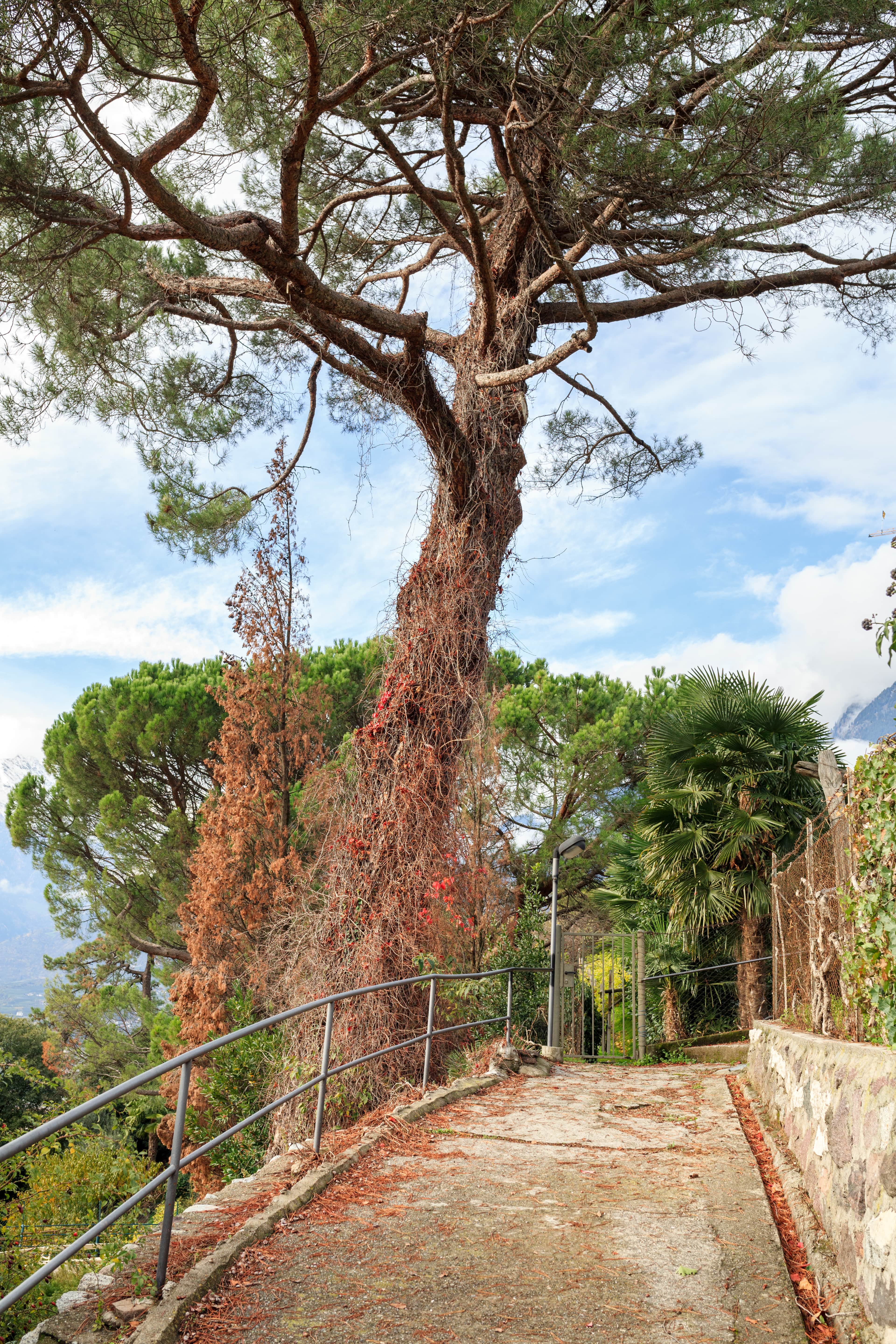 Merano