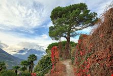 Merano