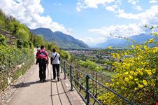 Merano