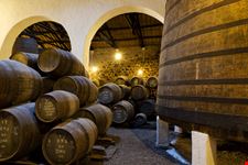 Cantine del Porto