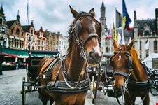 Giro in Carrozza