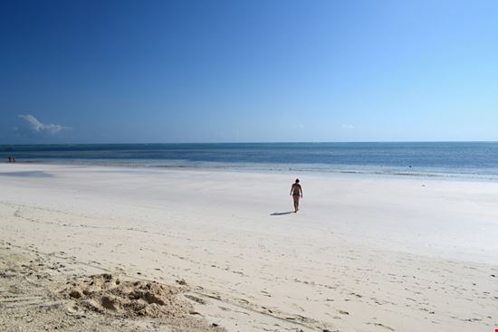 Spiaggia di Kiwengwa  Spiaggia di Kiwengwa  Eva_photo - Shutterstock.com 