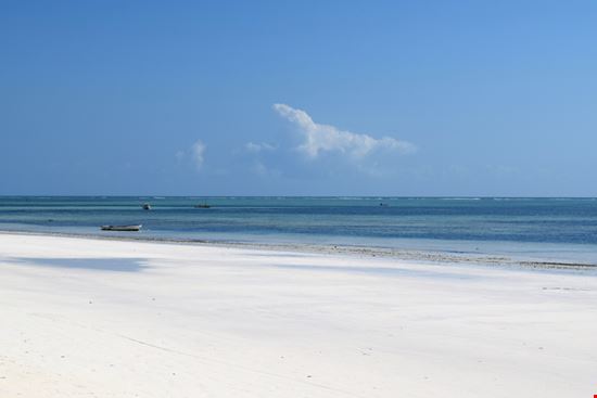 Spiaggia di Kiwengwa  Spiaggia di Kiwengwa  Eva_photo - Shutterstock.com 