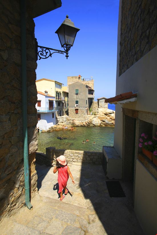 Isola del giglio Isola del giglio stefano cellai - Shutterstock.com 