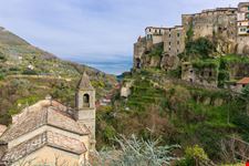 Ceriana