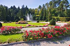 Giardini estensi