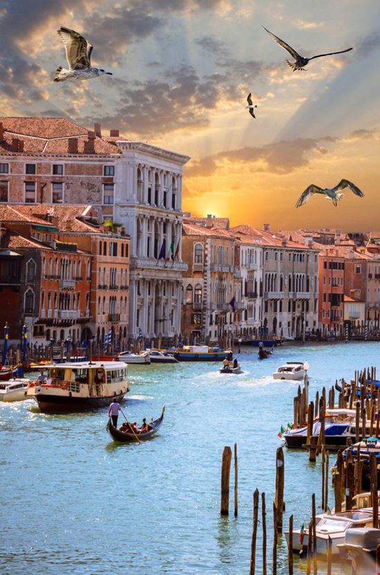 Canal Grande Canal Grande Olena Z - Shutterstock.com 