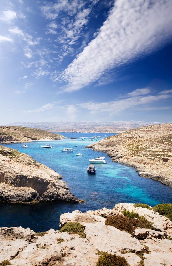 Comino Comino Tyler Olson - Shutterstock.com 