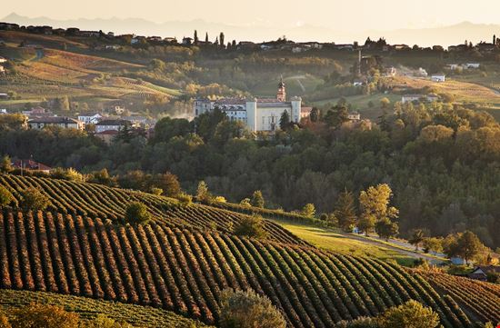 Costigliole d'Asti Il borgo tra i vigneti Daniela Pelazza / Shutterstock.com 