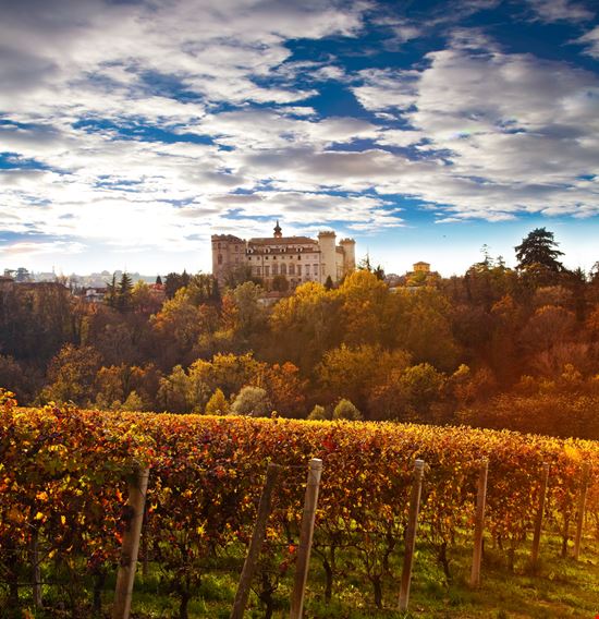 Costigliole d'Asti Il borgo tra i vigneti Daniela Pelazza / Shutterstock.com 