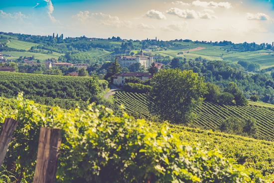Costigliole d'Asti Il borgo tra i vigneti illpaxphotomatic - Shutterstock.com 