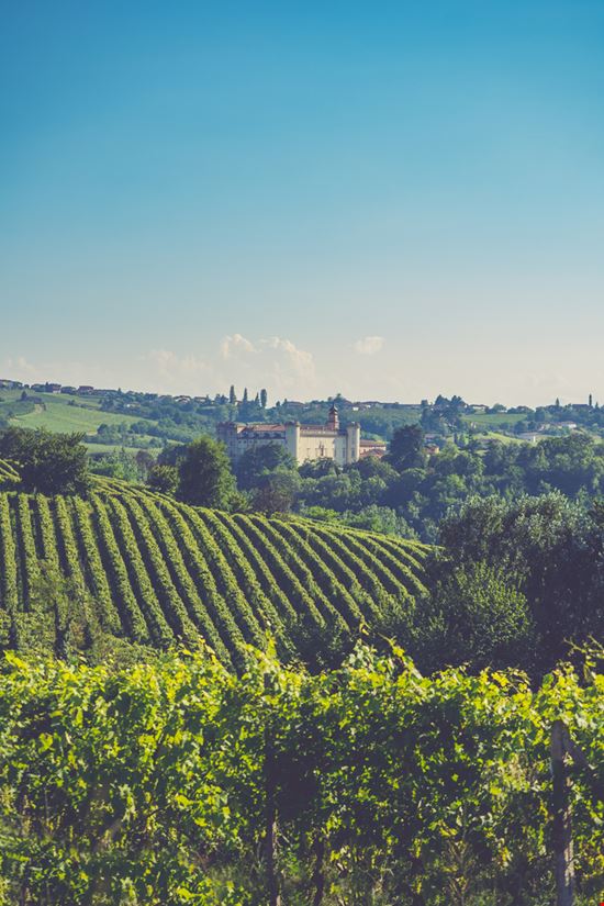Costigliole d'Asti Il borgo tra i vigneti illpaxphotomatic - Shutterstock.com 