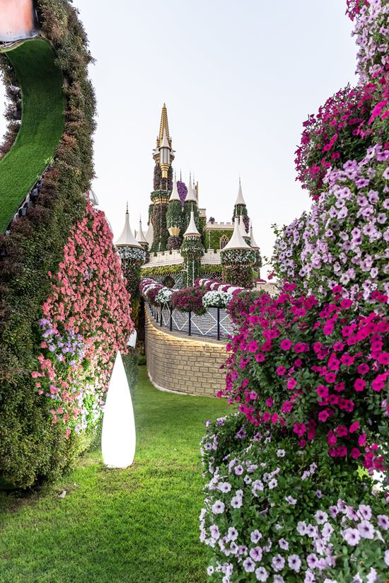 Dubai Miracle Garden stock.adobe.com - solo uso editoriale 
