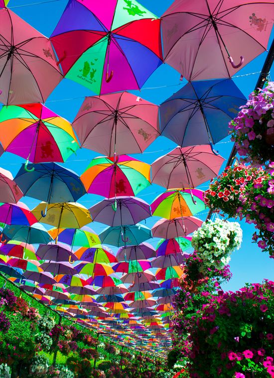 dubai Miracle Garden Juliya_Ka / Shutterstock.com 