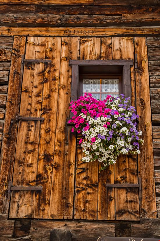 Livigno Livigno stock.adobe.com 