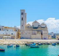 Molfetta Molfetta