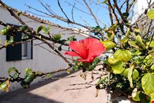 Binibeca