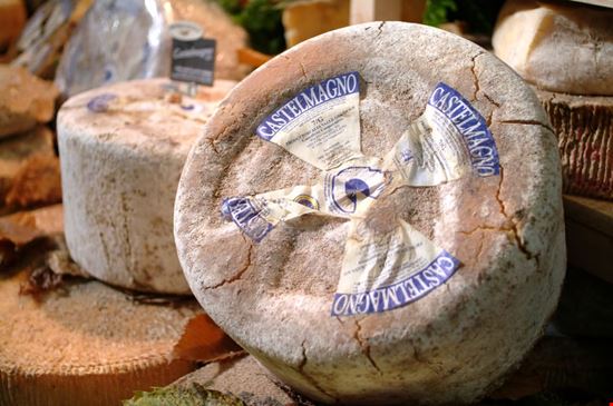 Castelmagno Castelmagno - Formaggio piemontese Shutterstock.com 