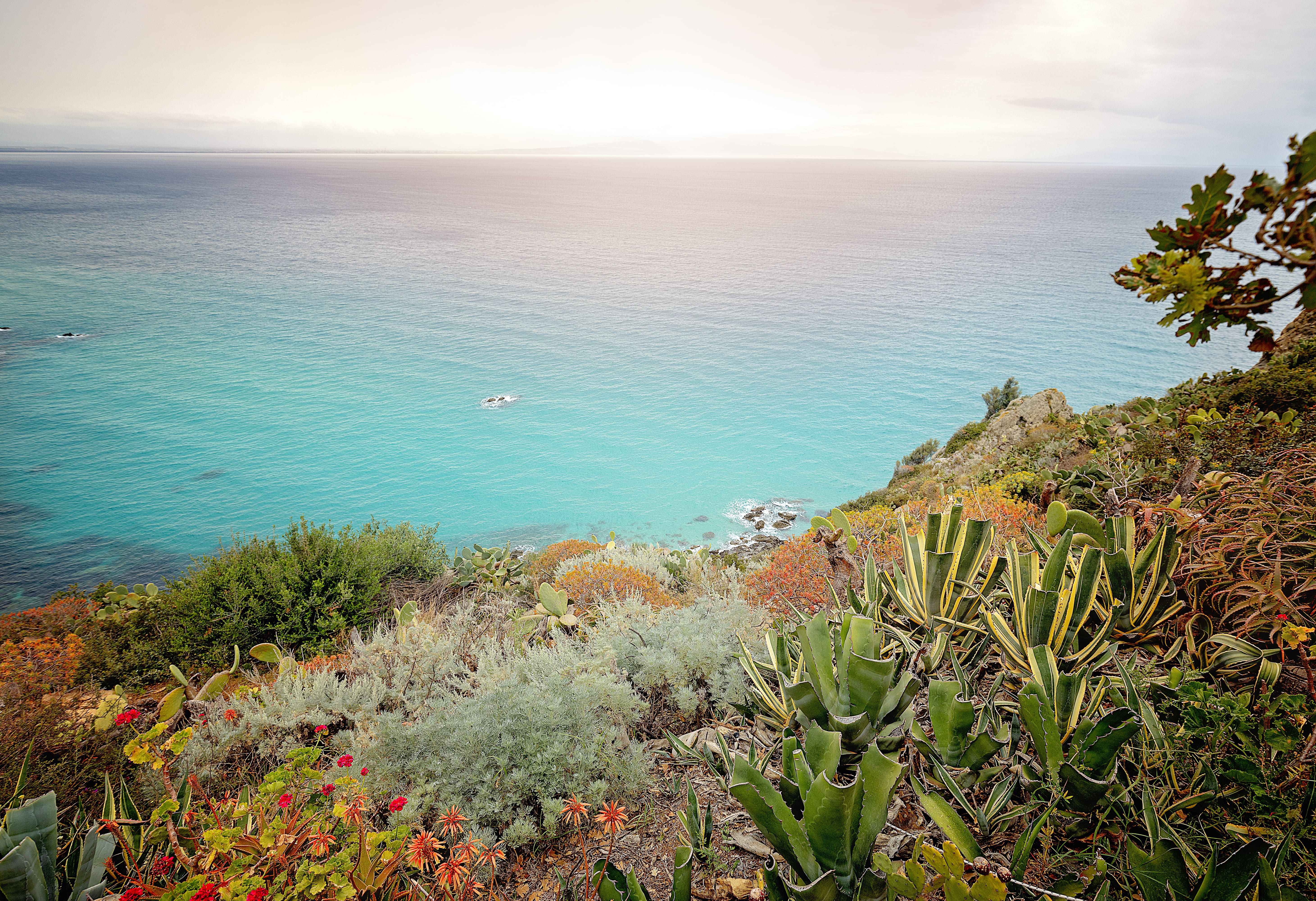 Tropea