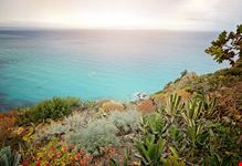 Tropea