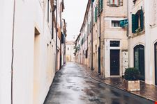 Treviso