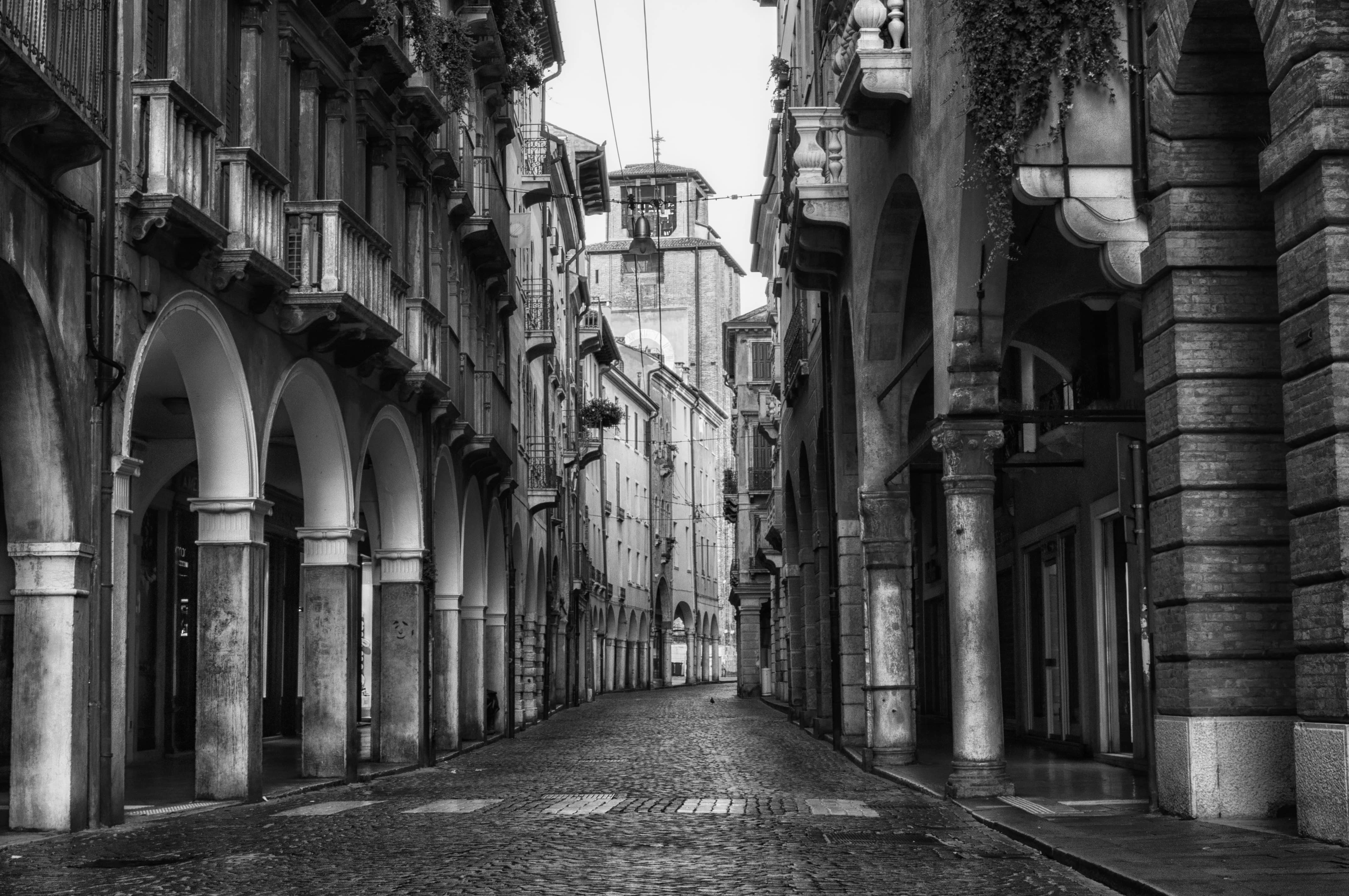 Treviso