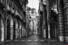 Treviso
